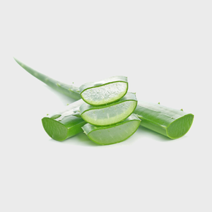 Aloe Vera Leaf Extract