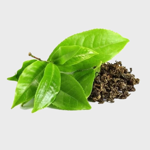 Green Tea Extract
