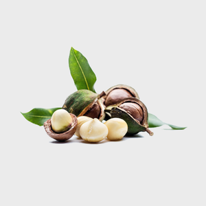 Macadamia Seed Oil